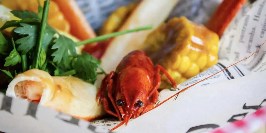 Plate of food with lobster and vegetables