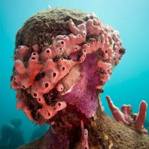 Grenada Underwater Sculpture Park: History & Everything You Need to Know